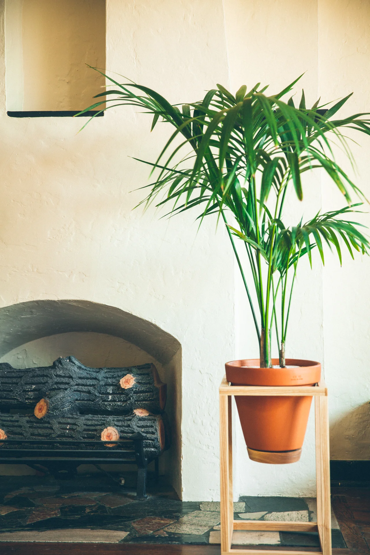 The Tall Frame Planter is an indoor planter by Trey Jones Studio