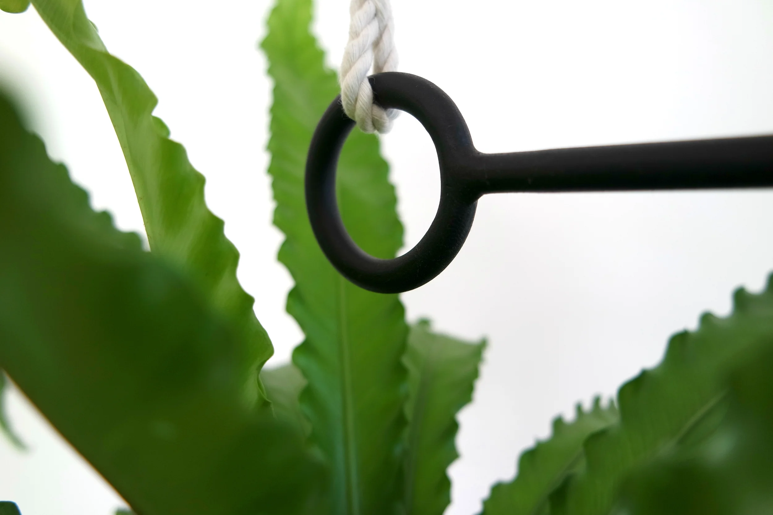 Line Planter detail 1.jpg