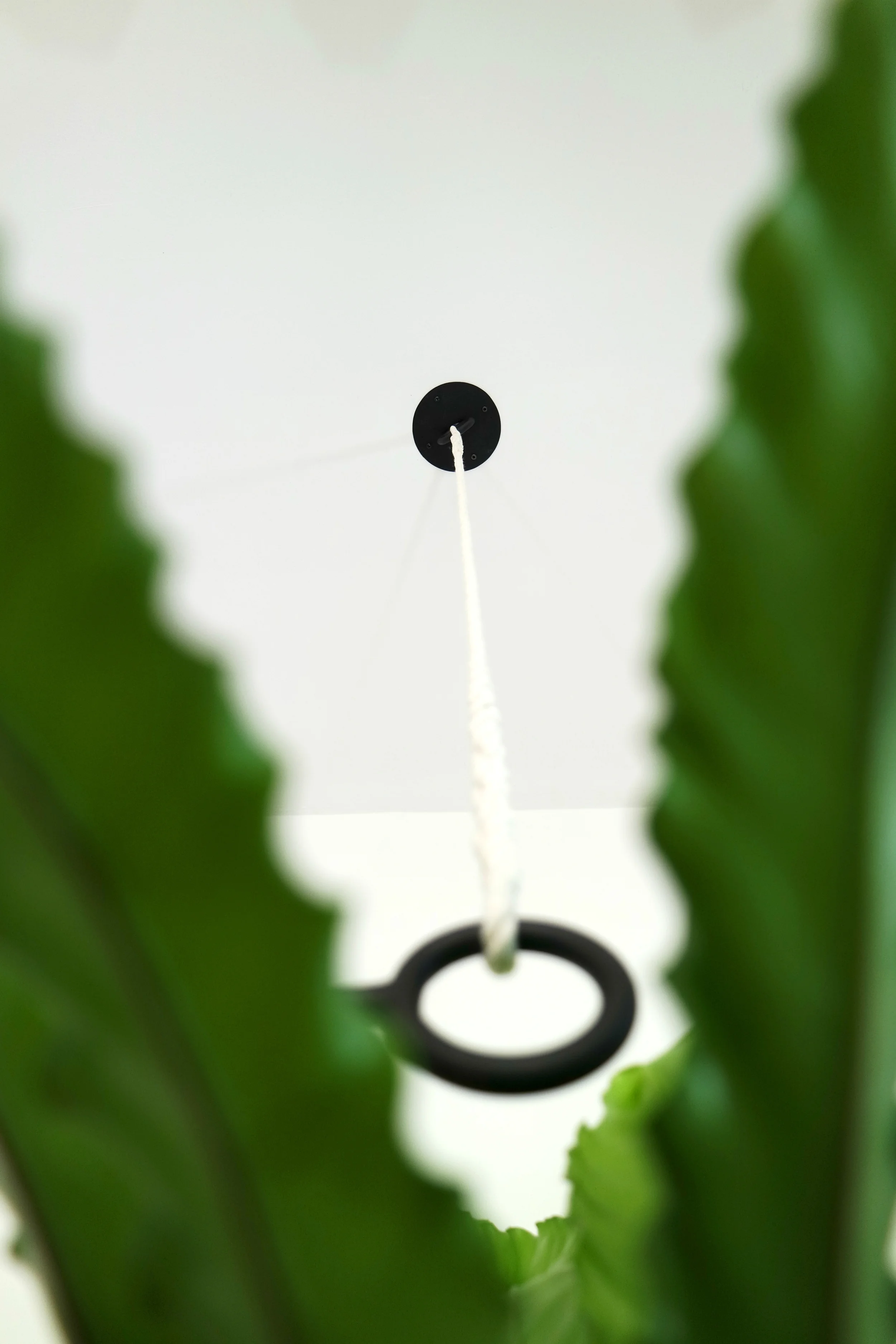 Line Planter deatil 2.jpg