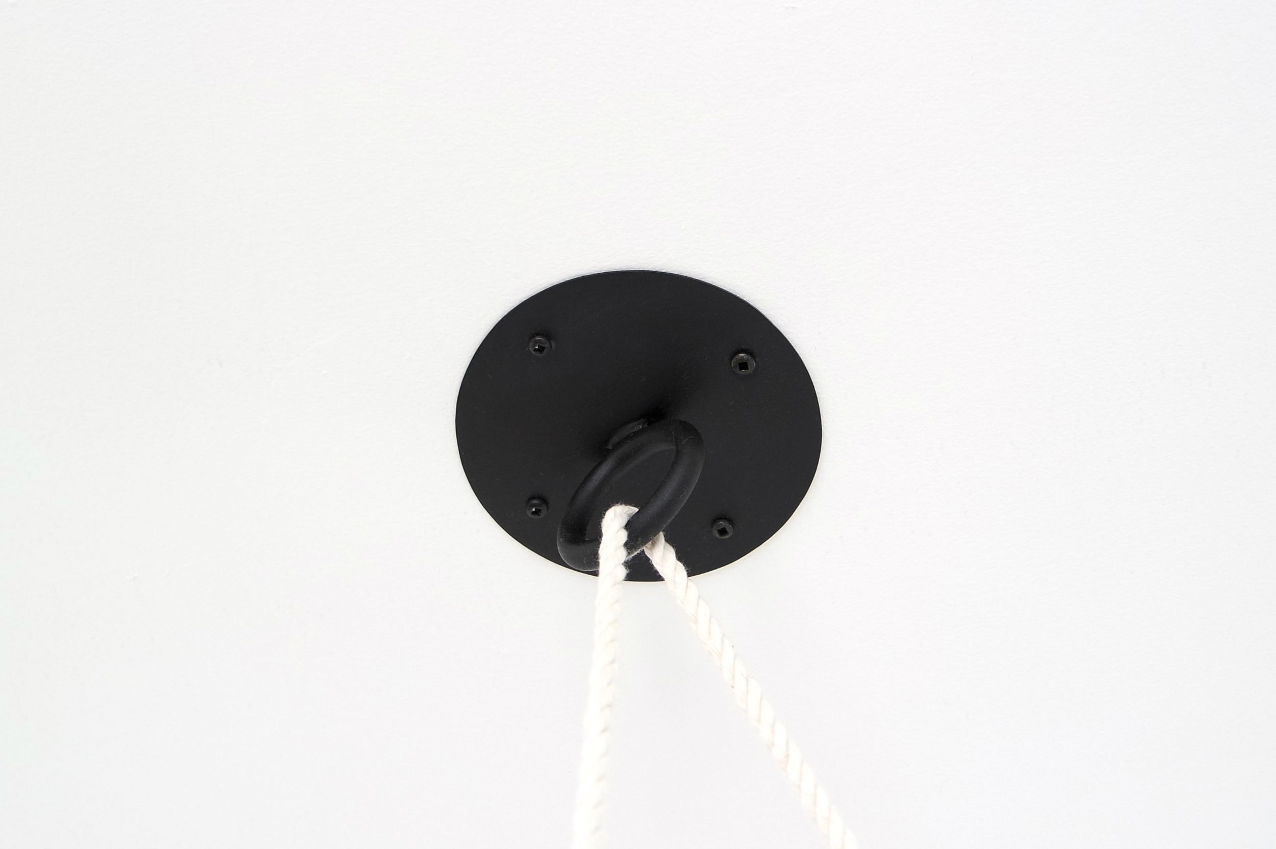 Line Planter detail_ceiling mount.jpg