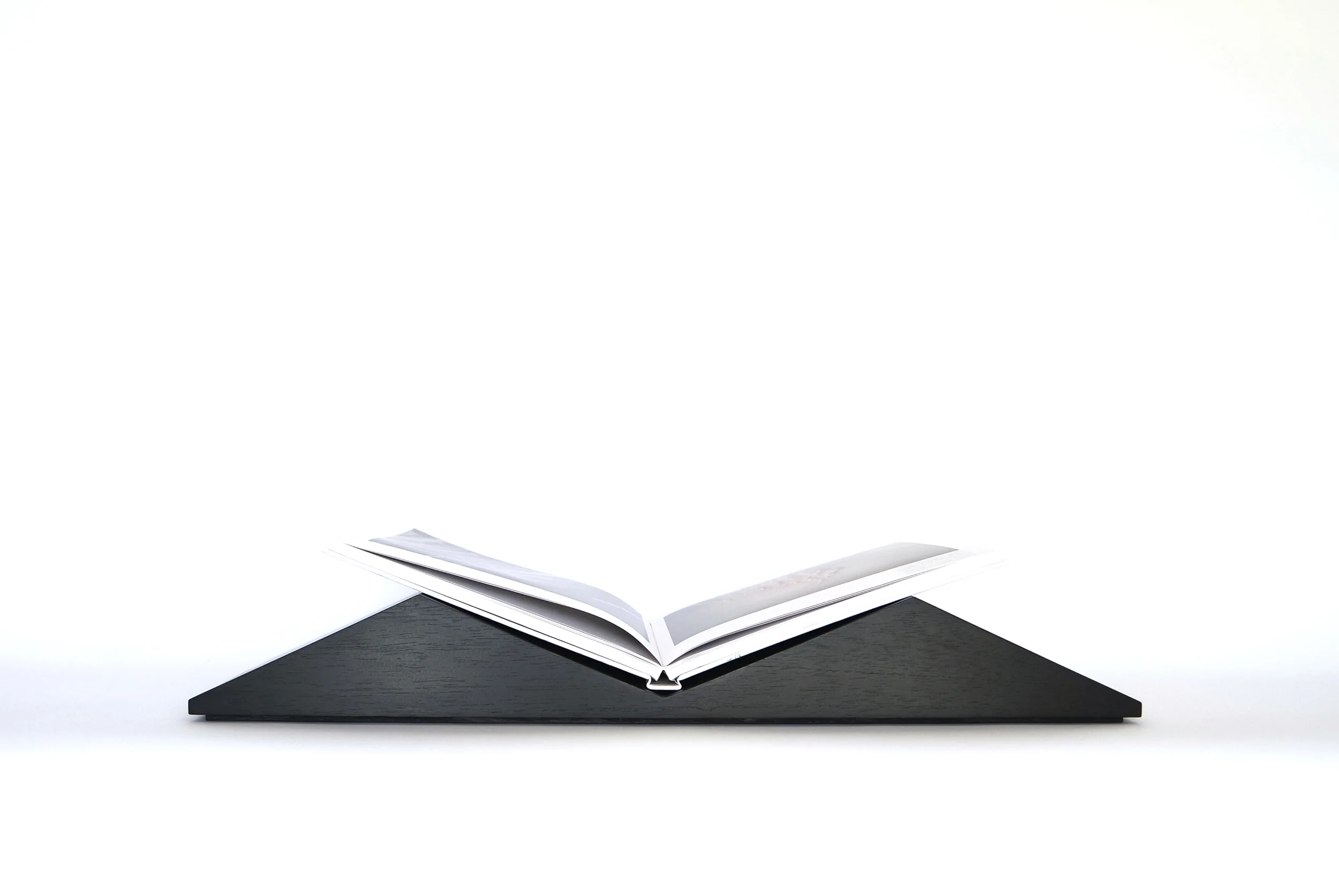 Bookscape mountains with book.jpg