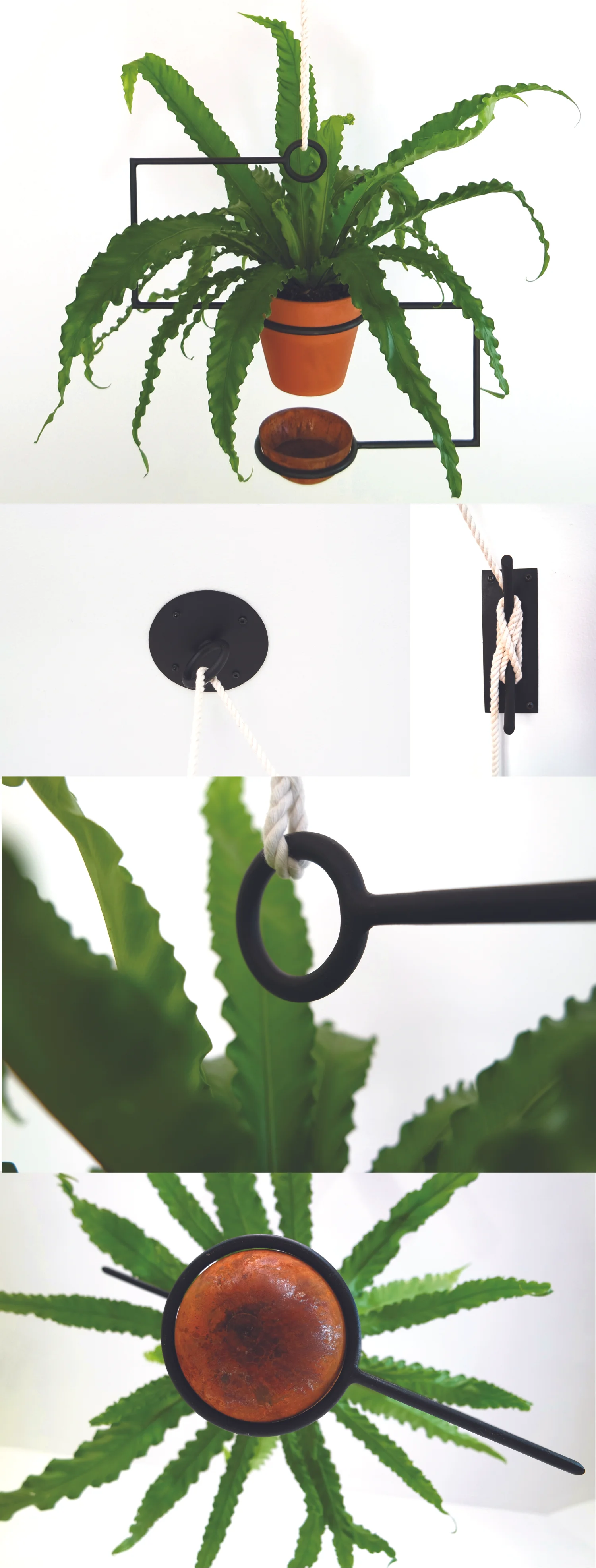 Line planter montage.jpg