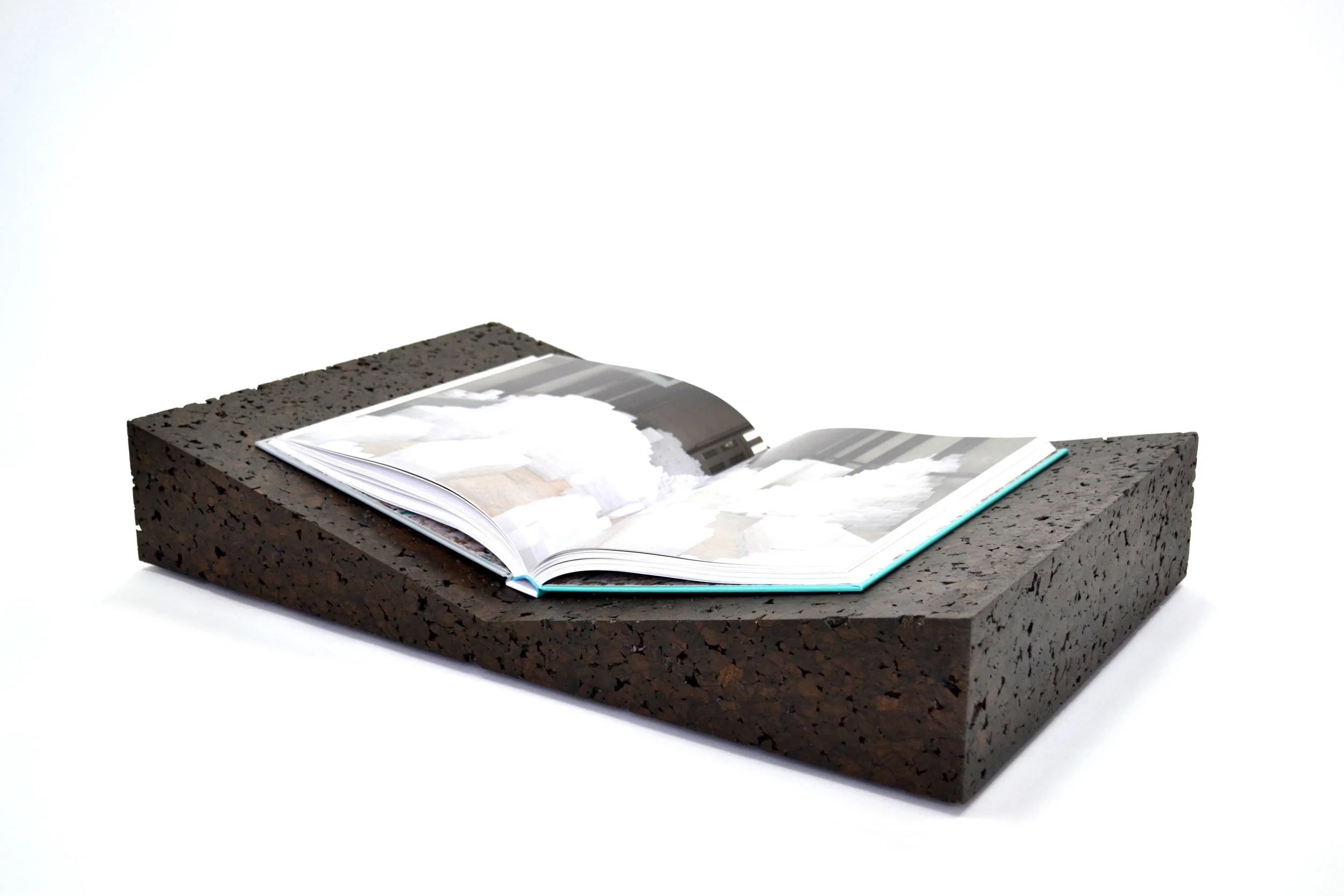 TJS Bookscape Valley cork_3356.jpg
