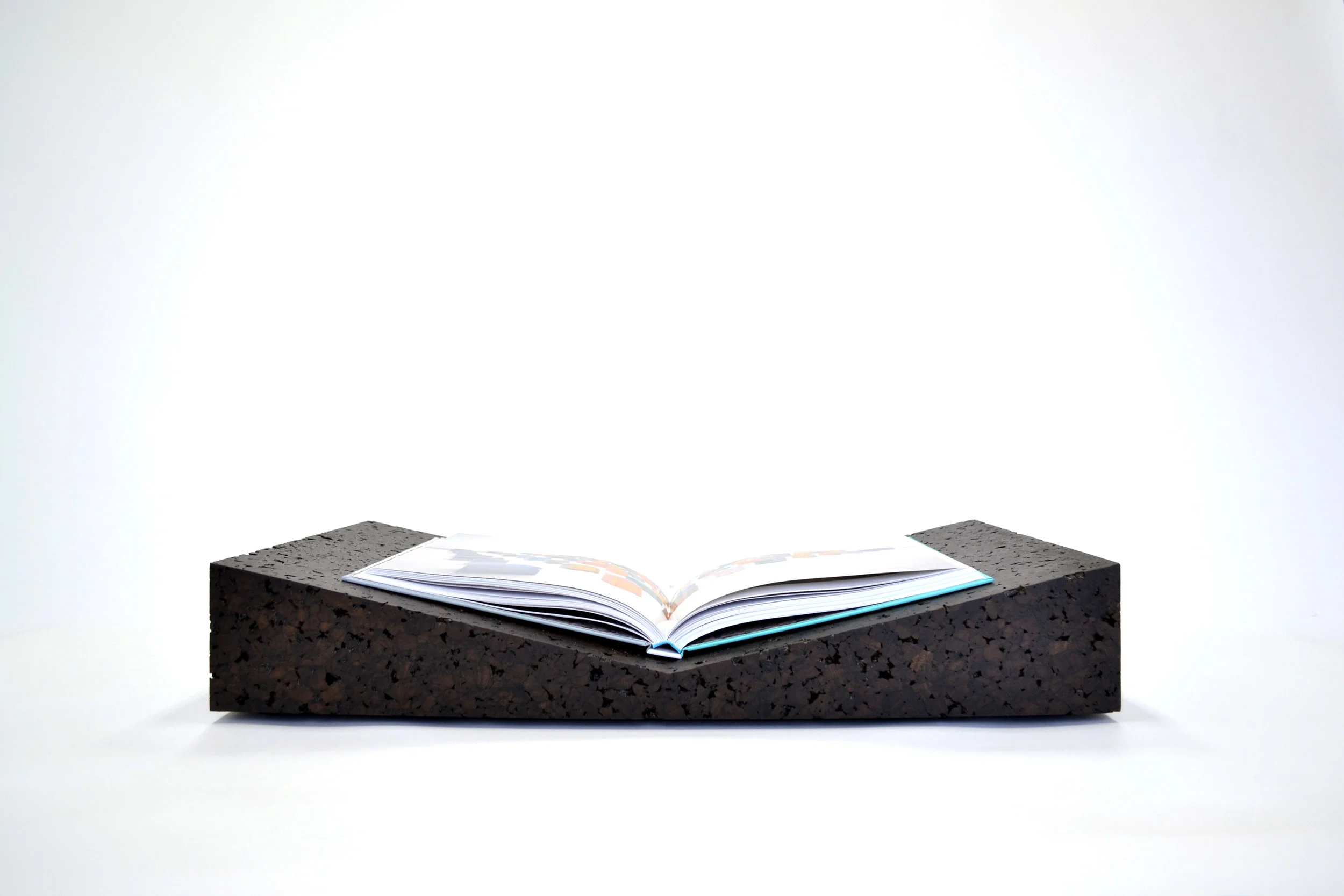 TJS Bookscape Valley cork_3417.jpg