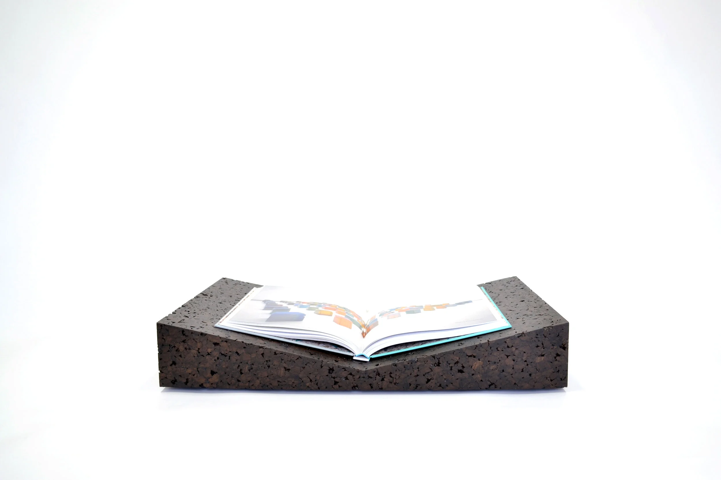 TJS Bookscape Valley cork_3435.jpg