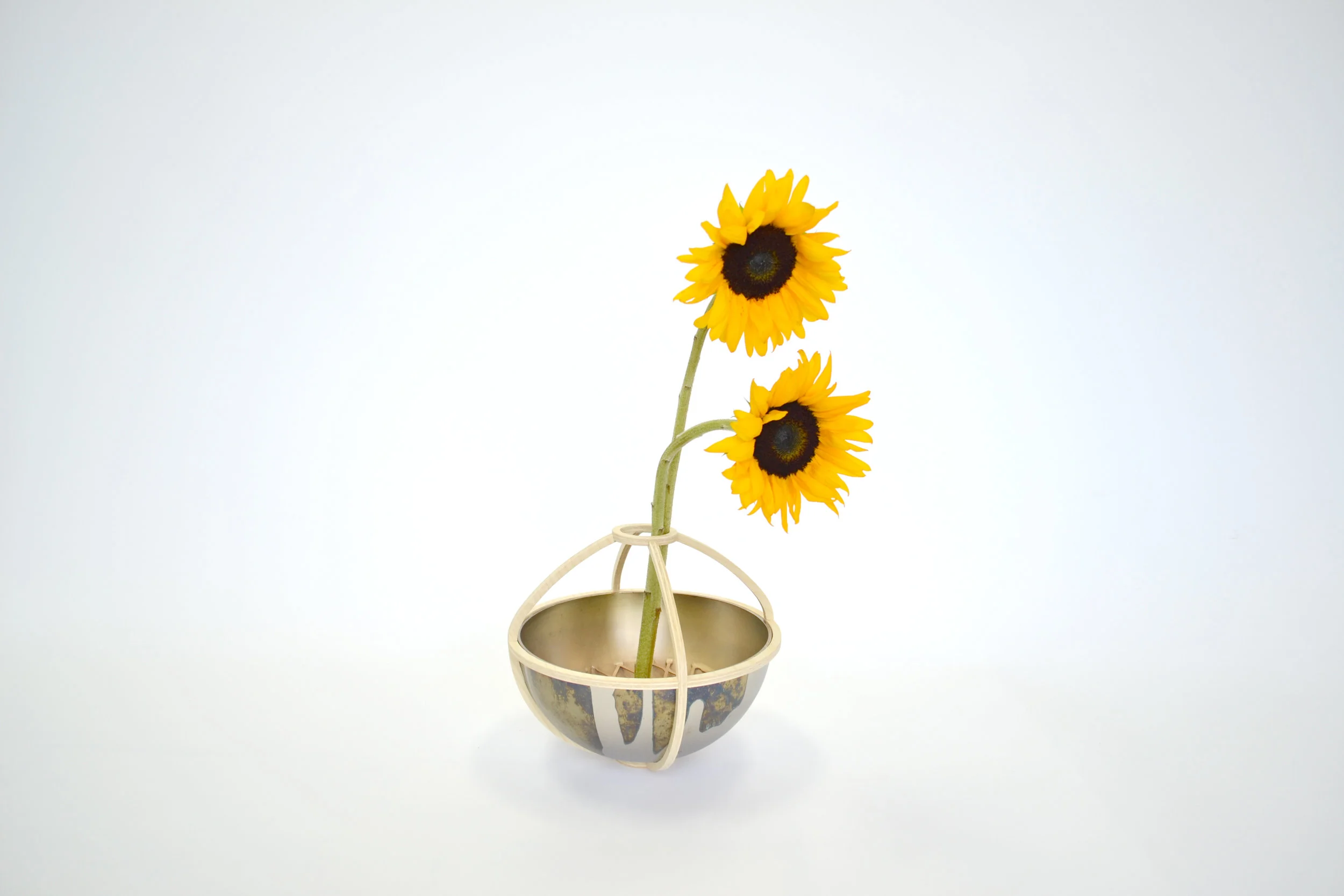 Pannier Vase 3_3200 edit.jpg