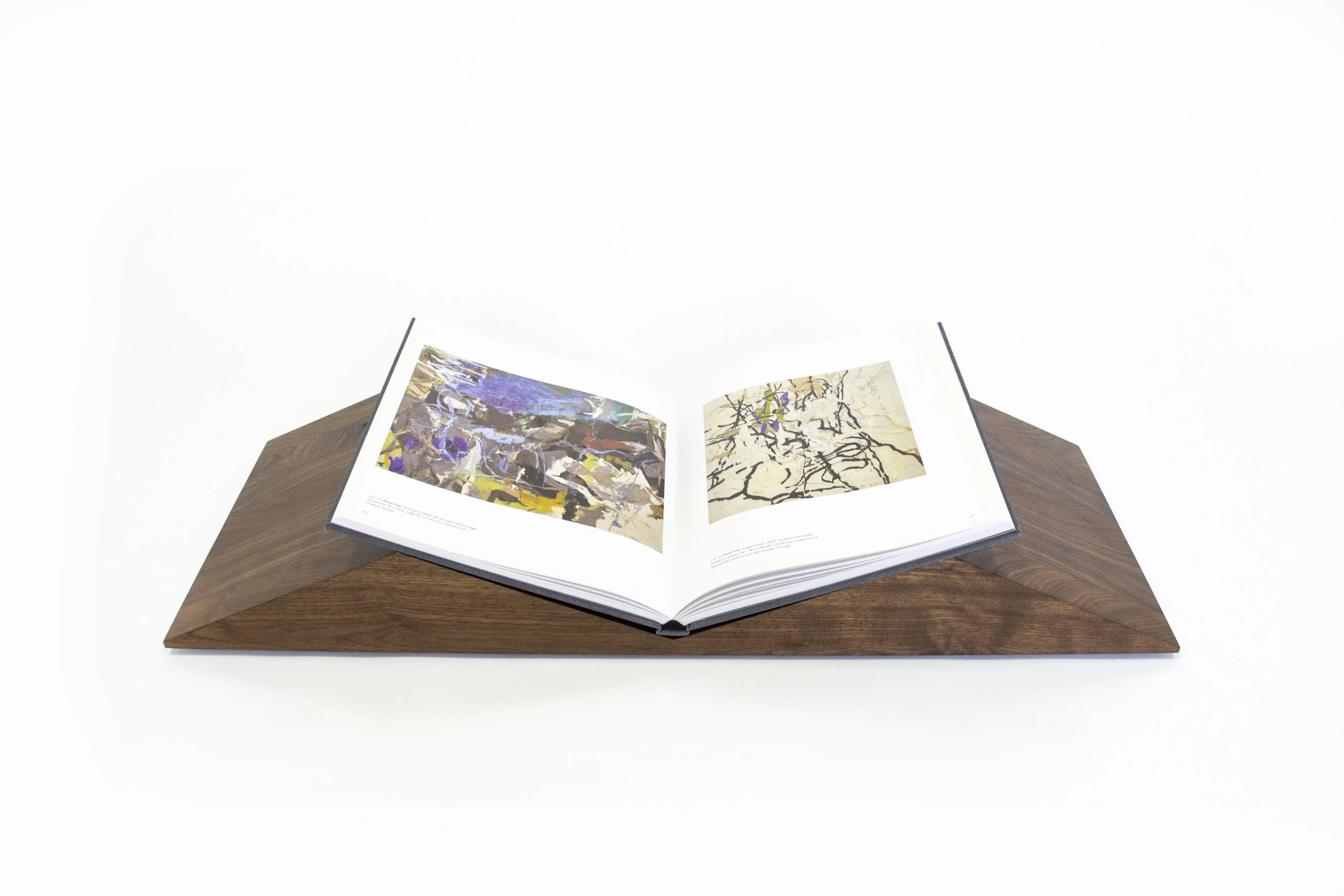 TJS Bookscape mountains walnut 3671.jpg