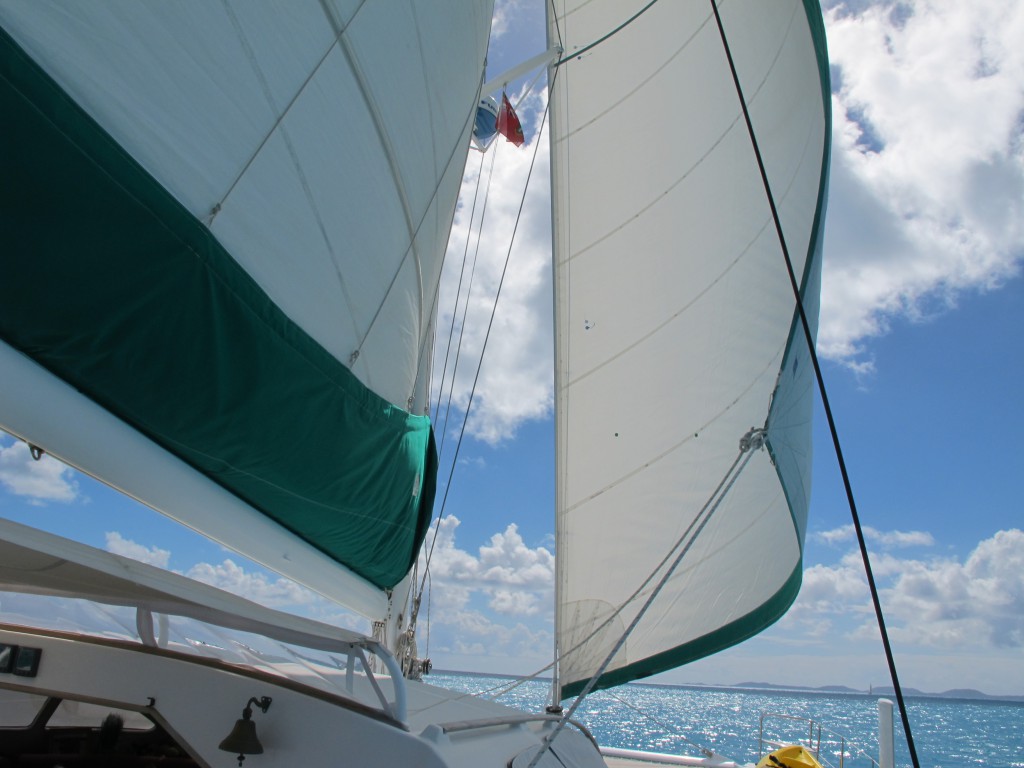 IMG_5936-1024x768.jpg