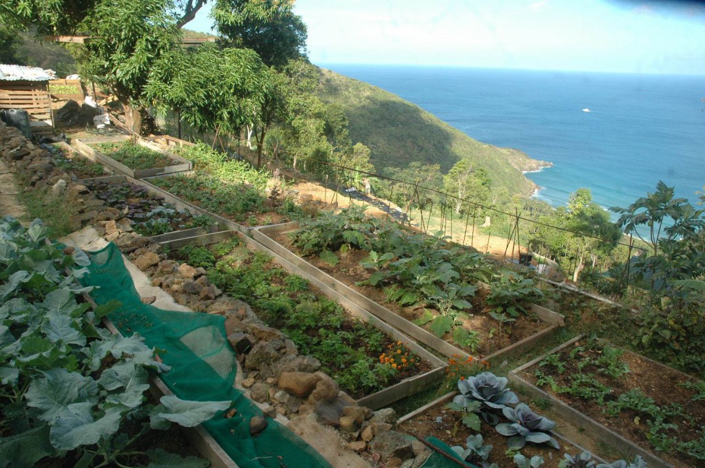 farm1-1024x680.jpg