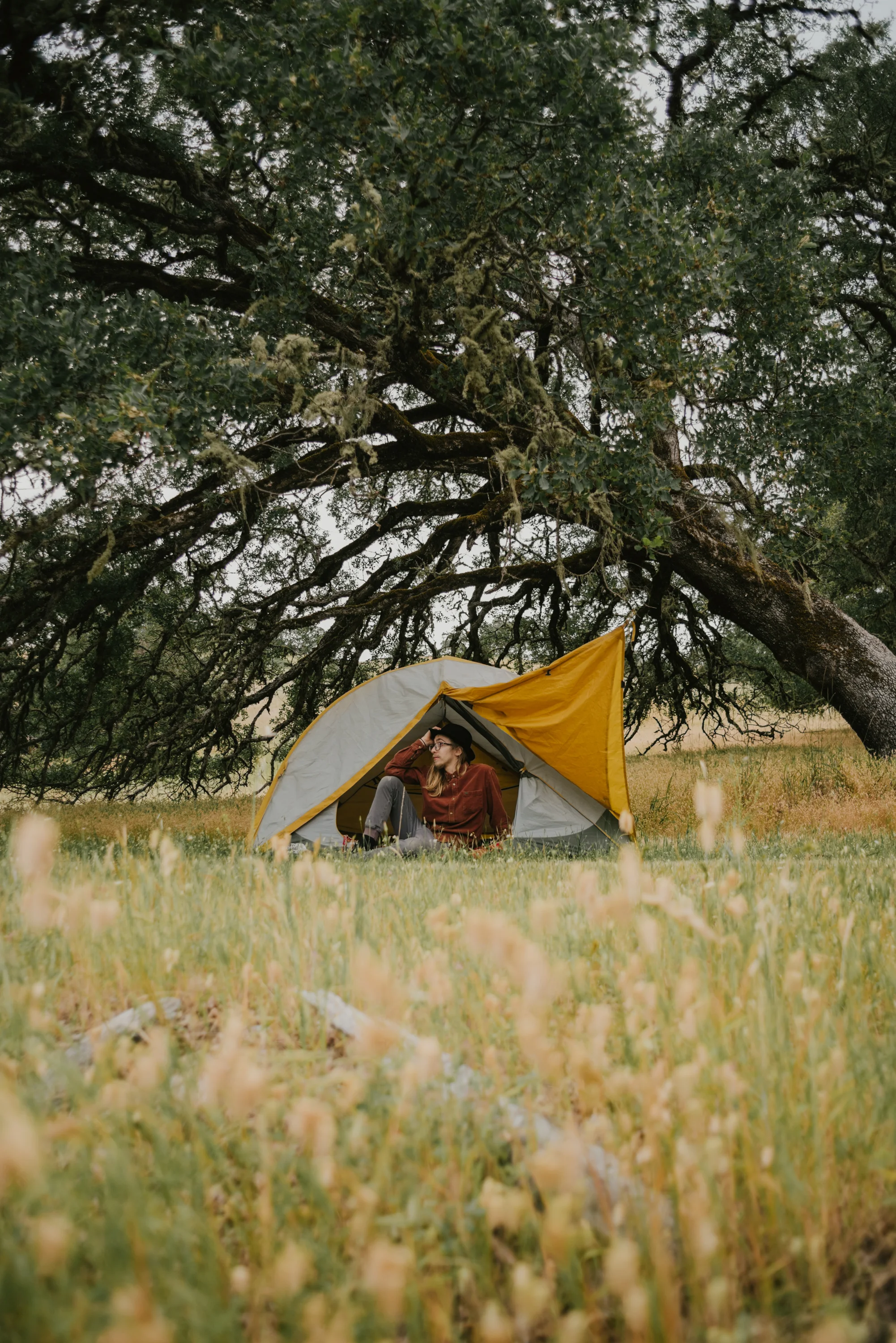 _NN03833.jpg