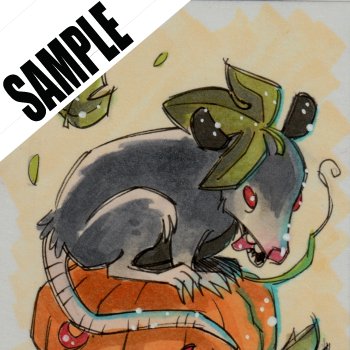 Illustration possum pumpkin low SAMPLE.jpg