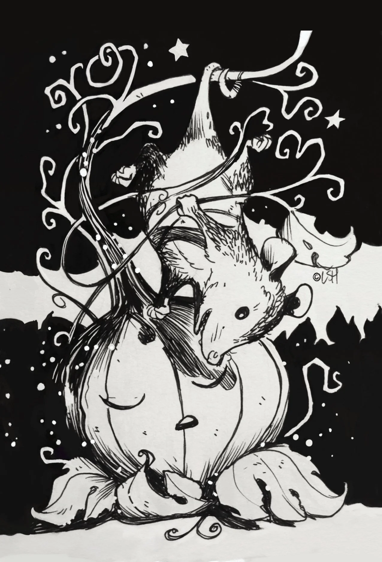 2024 postcard 2 Possum and Cosmo.jpg