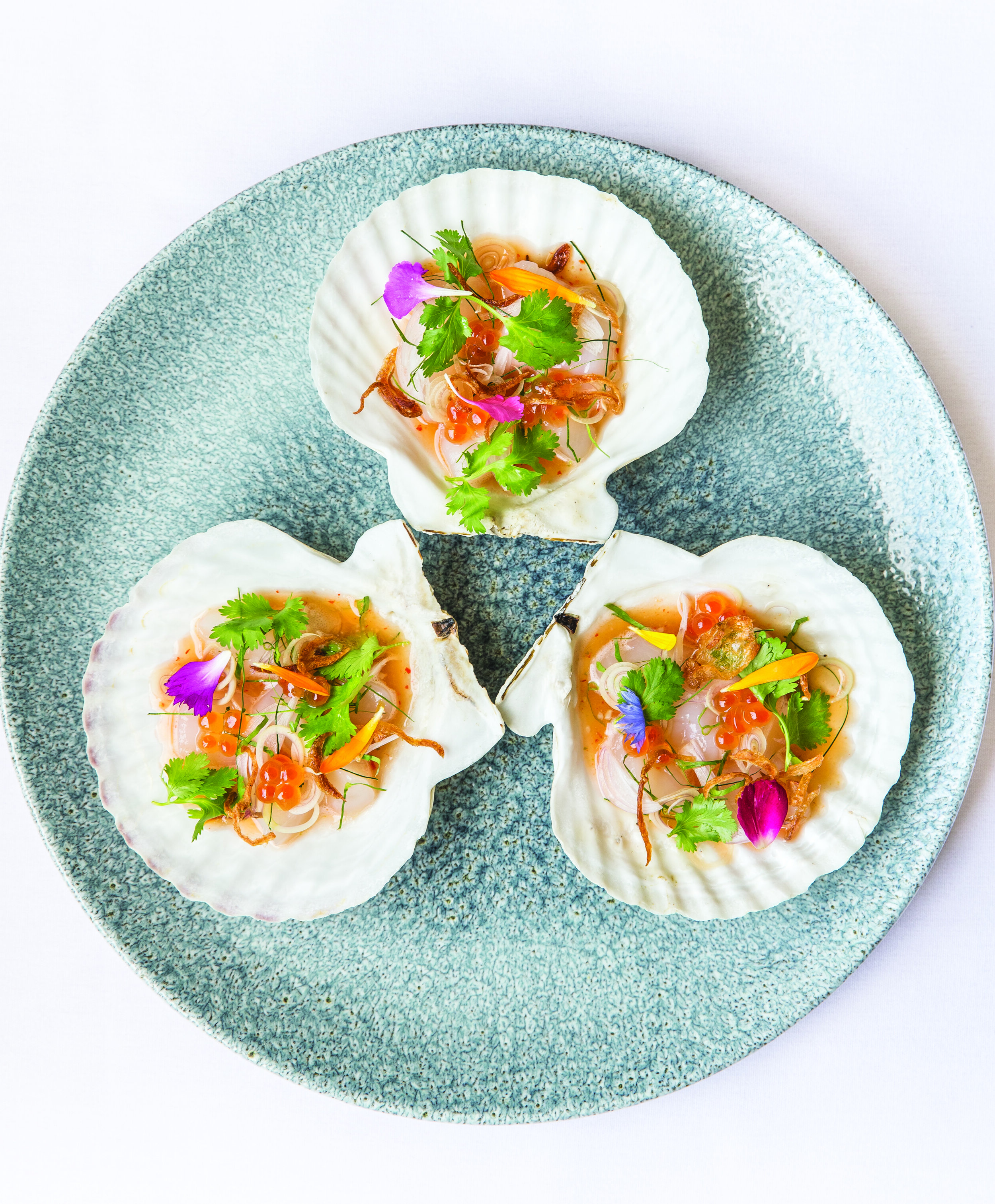 8 scallop ceviche.jpg