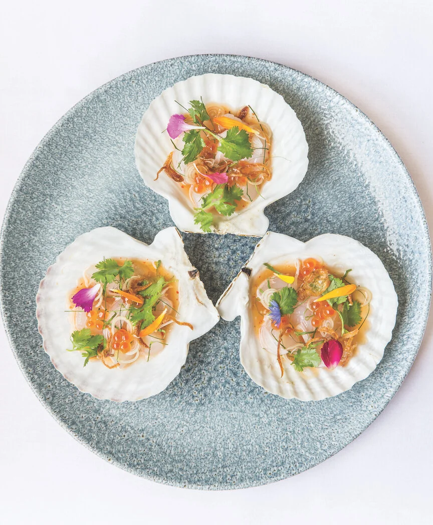 scallop_ceviche.jpeg