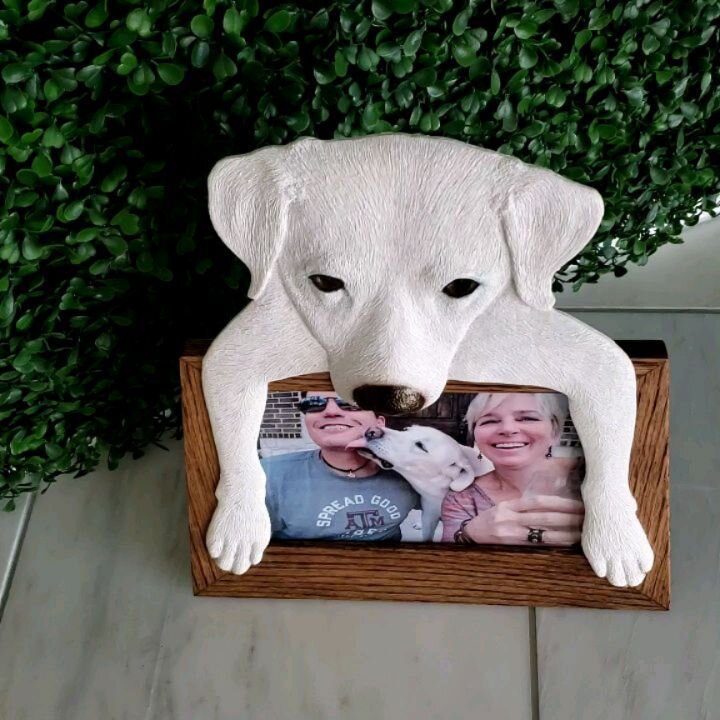 Custom 3d portrait frame, made for my brother in memory of Cayman. #sculpture #basrelief #art #frame #whitelab #dog #oak