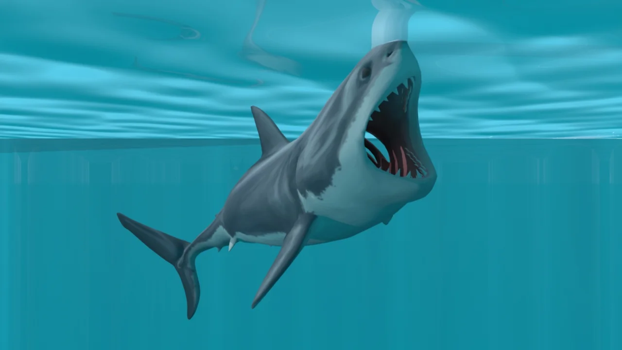SharkHD001.jpeg