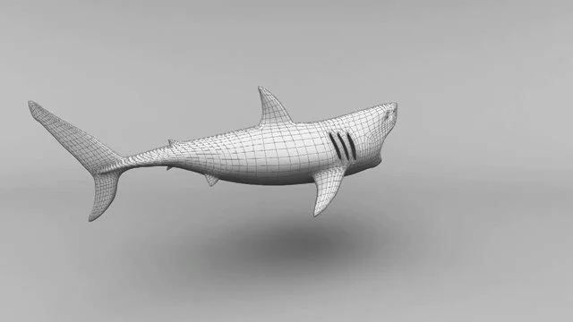 Great White Shark Turntable