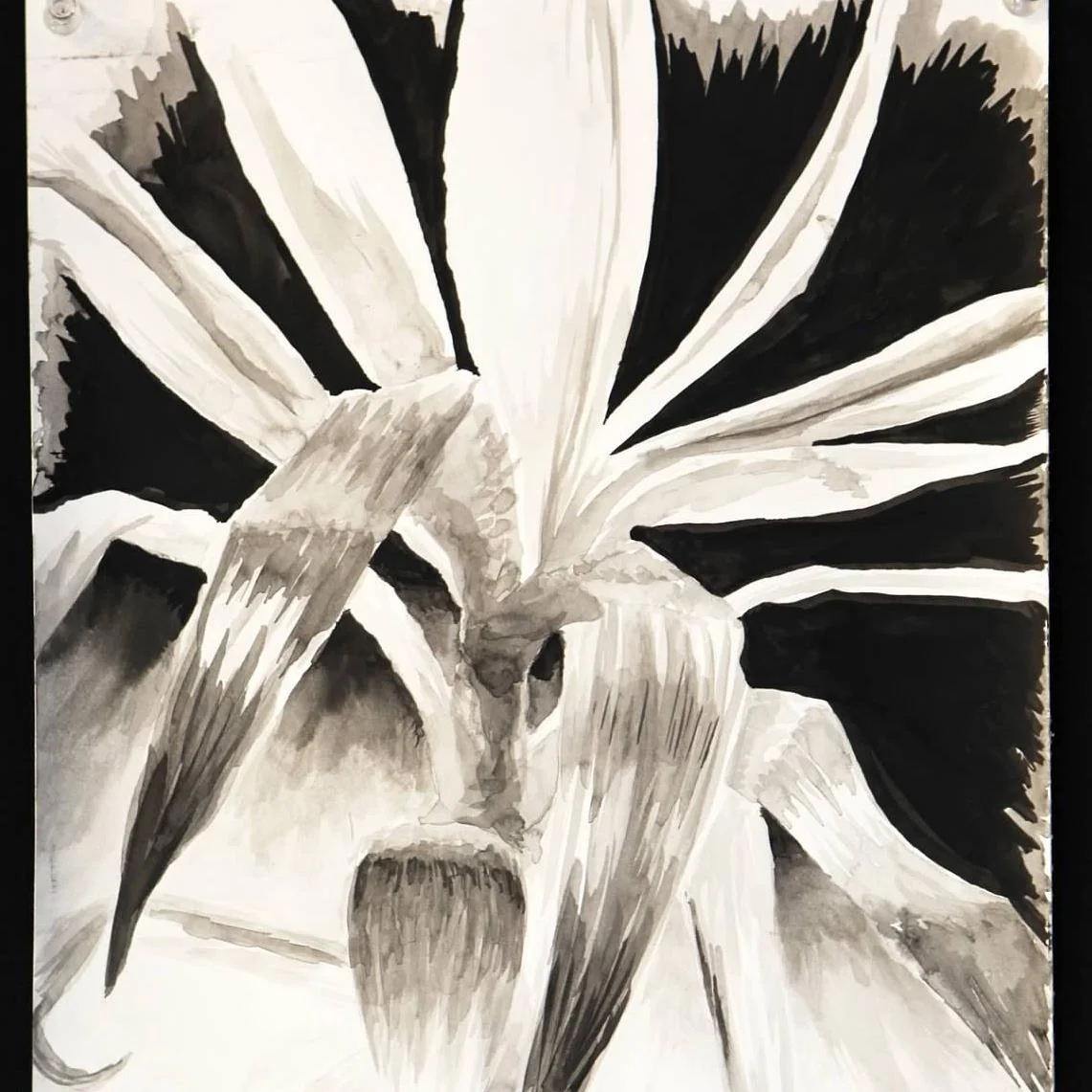 08 Plant_Still_Life_Ink.JPG