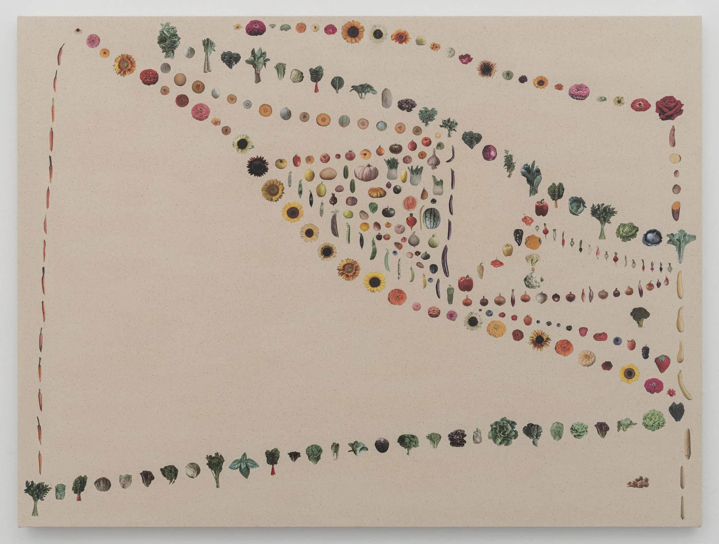   The Way We Go , 2025, seed catalog, PVA, and UV varnish on canvas, 36 x 48 in (91.4 × 121.9 cm) 