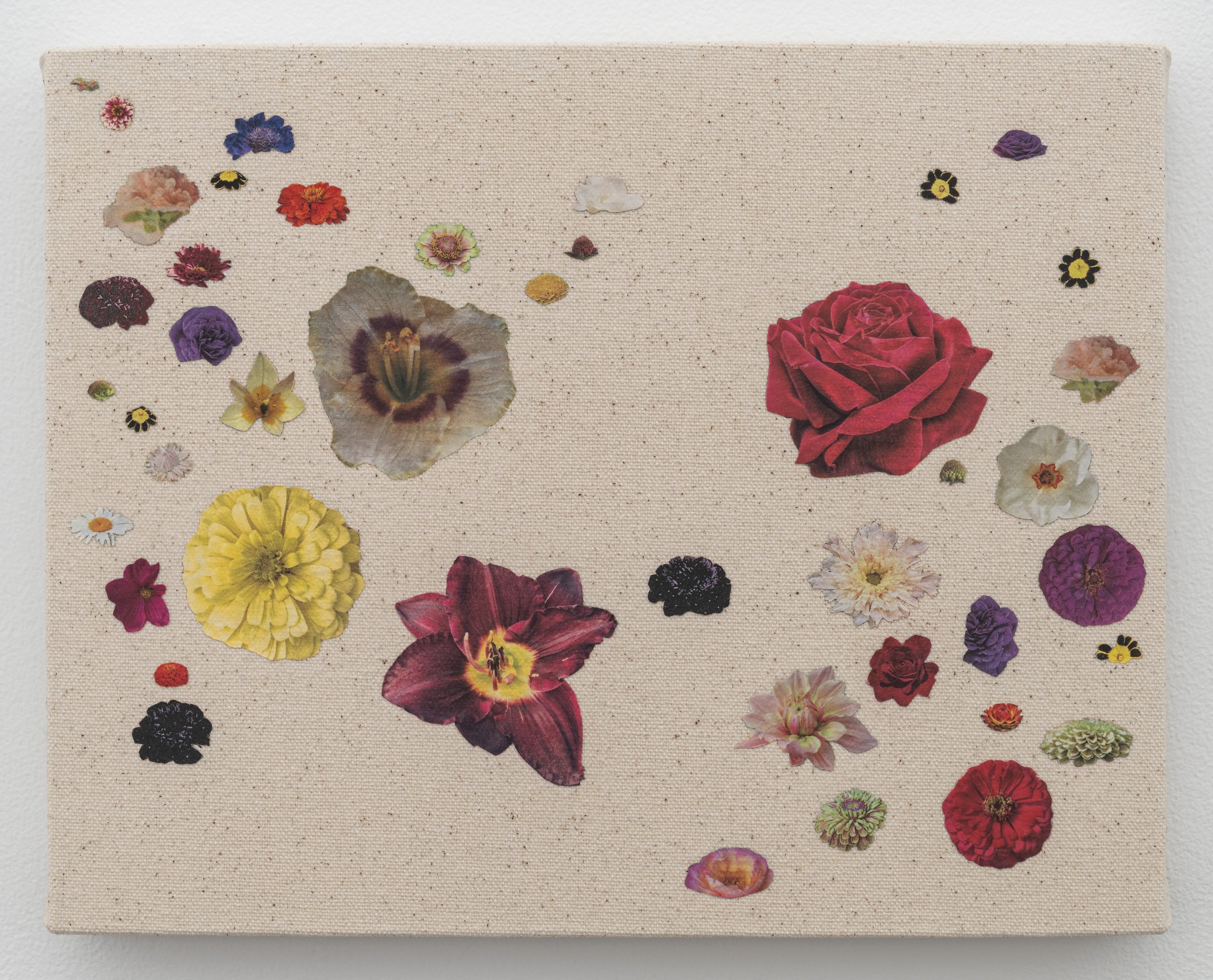   Patsy , seed catalog, PVA, and UV varnish on canvas, 8 x 10 in (20.3 x 25.4 cm) 