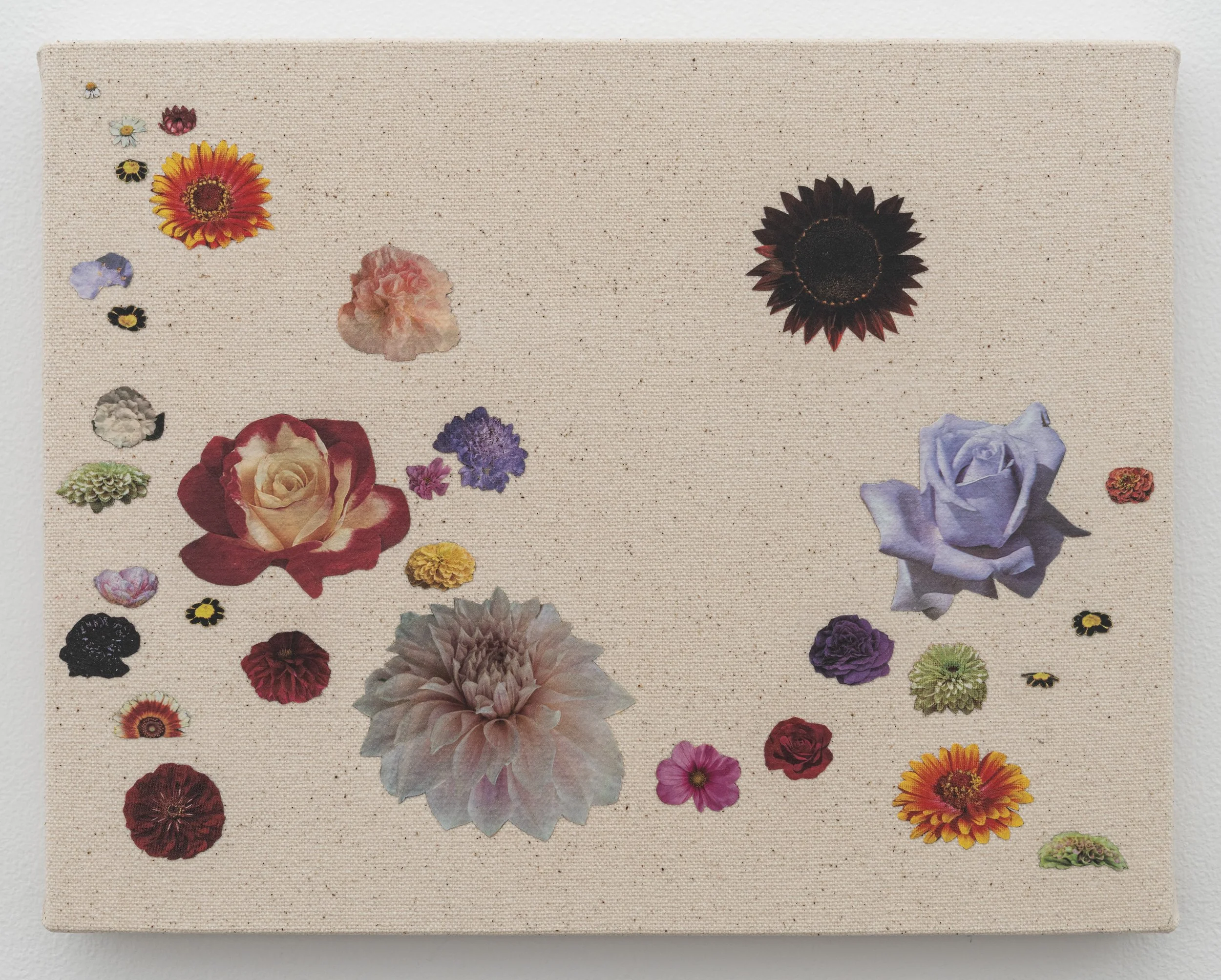   Margot , 2026, seed catalog, PVA, and UV varnish on canvas, 8 x 10 in (20.3 x 25.4 cm) 
