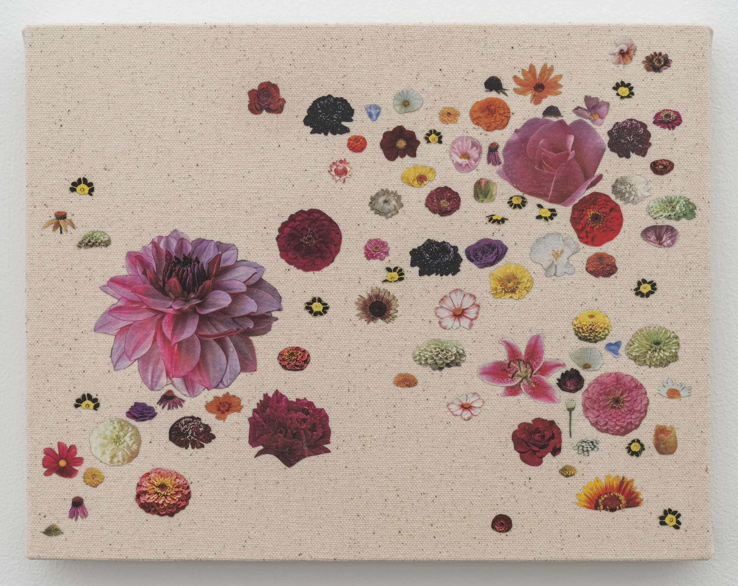   Say Yes to Heaven , seed catalog, PVA, and UV varnish on canvas, 8 x 10 in (20.3 x 25.4 cm) 