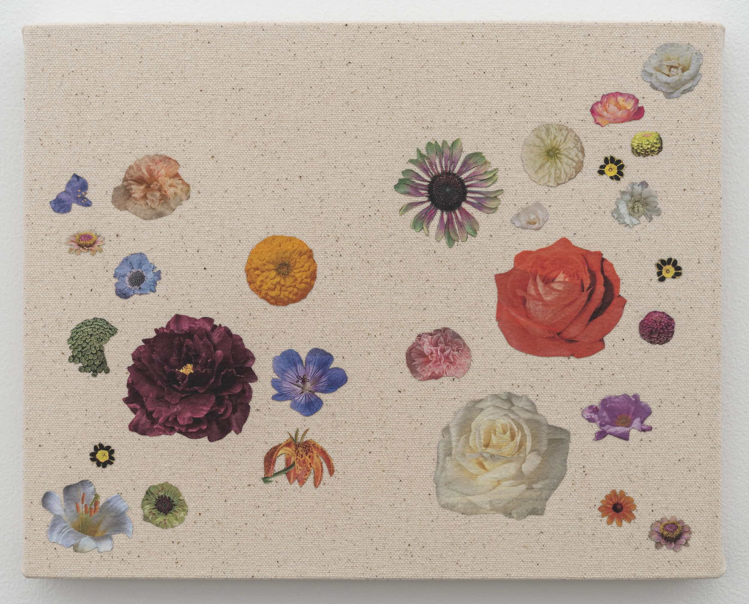   Today, Tomorrow, and Forever , 2026, seed catalog, PVA, and UV varnish on canvas, 8 x 10 in (20.3 x 25.4 cm) 