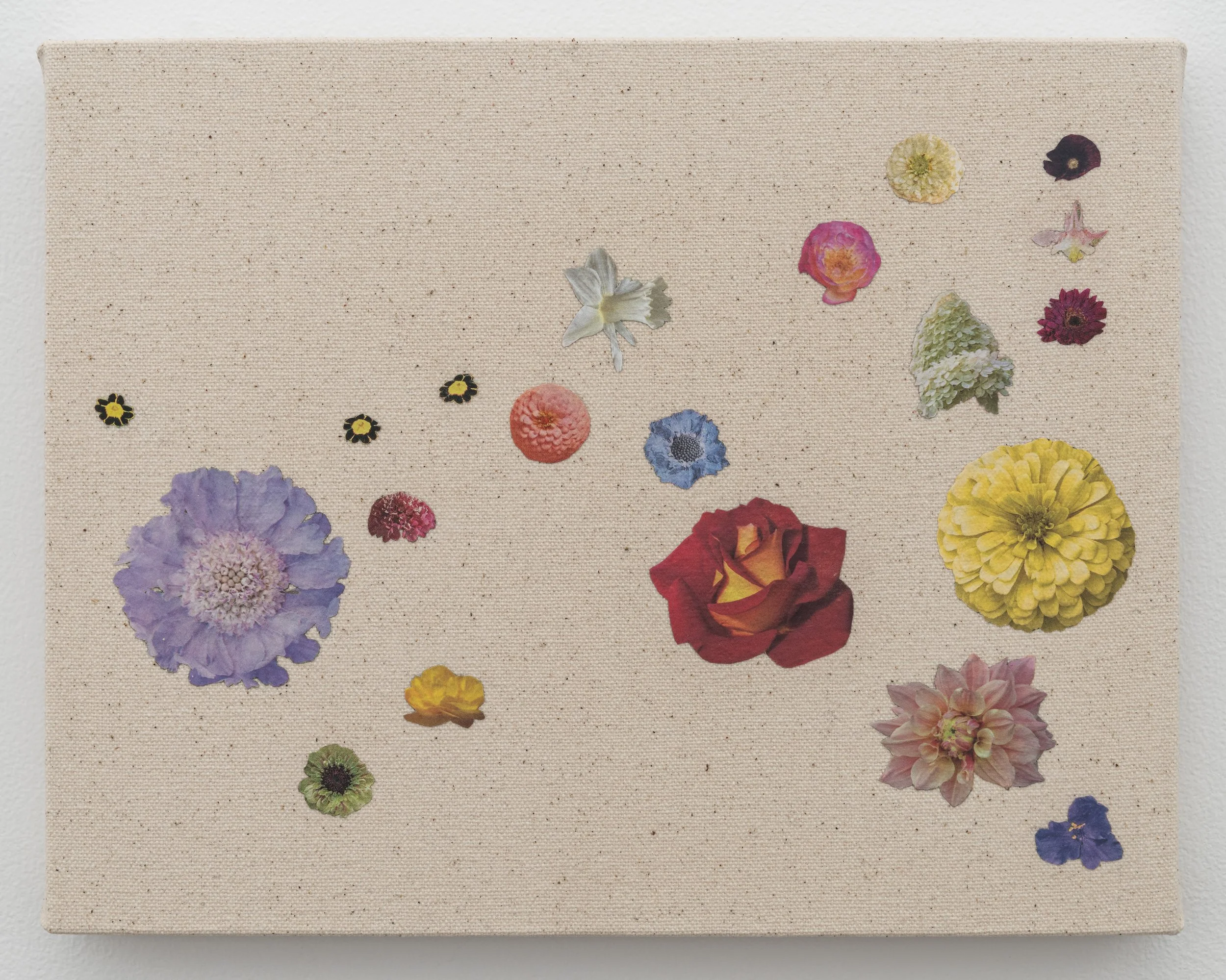   Try a Little Tenderness , 2026, seed catalog, PVA, and UV varnish on canvas, 8 x 10 in (20.3 x 25.4 cm) 