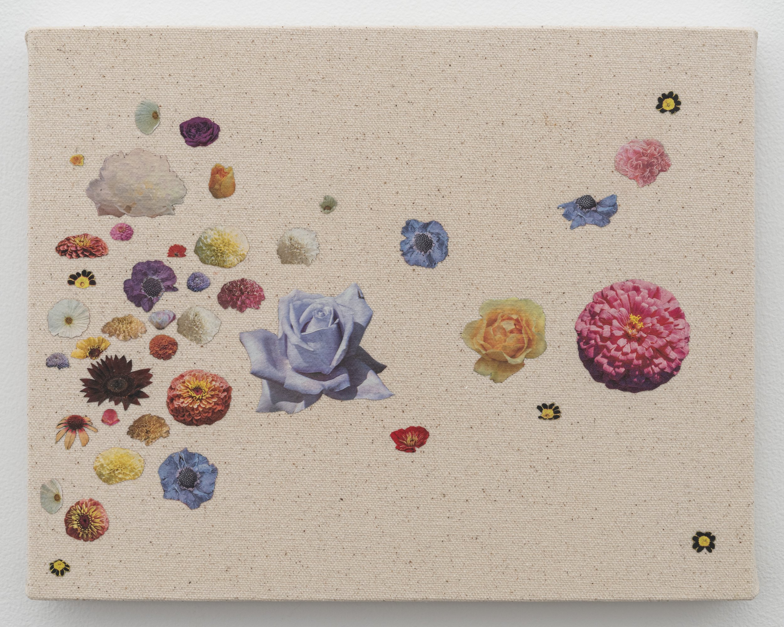   Til There Was You , 2026, seed catalog, PVA, and UV varnish on canvas, 8 x 10 in (20.3 x 25.4 cm) 