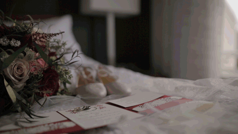 20180102_Alison-Steve_GIF.gif