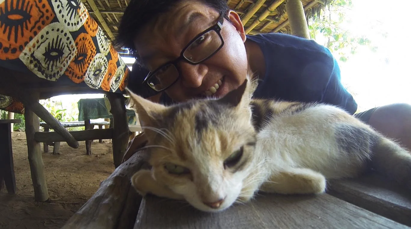Kitty.jpg