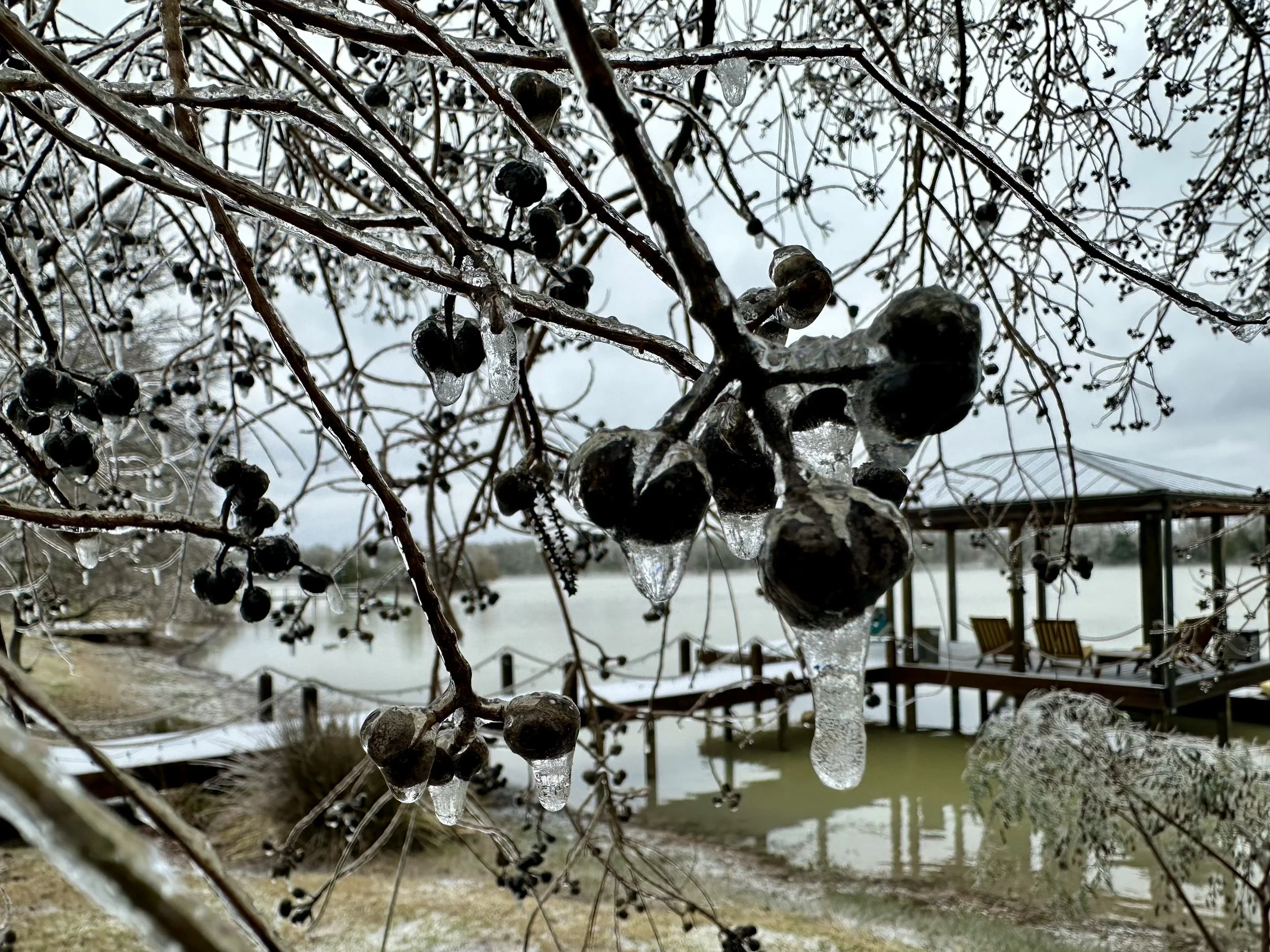 Little Things Worth Noticing