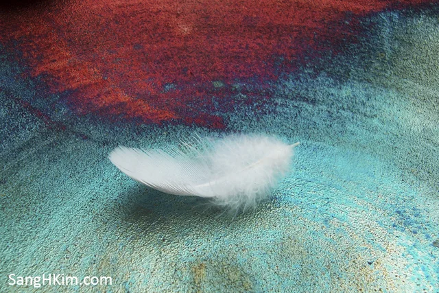 meditation-feather.jpg