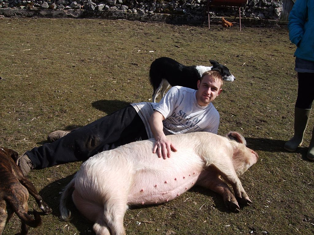 Stephen with Muriel, show pig