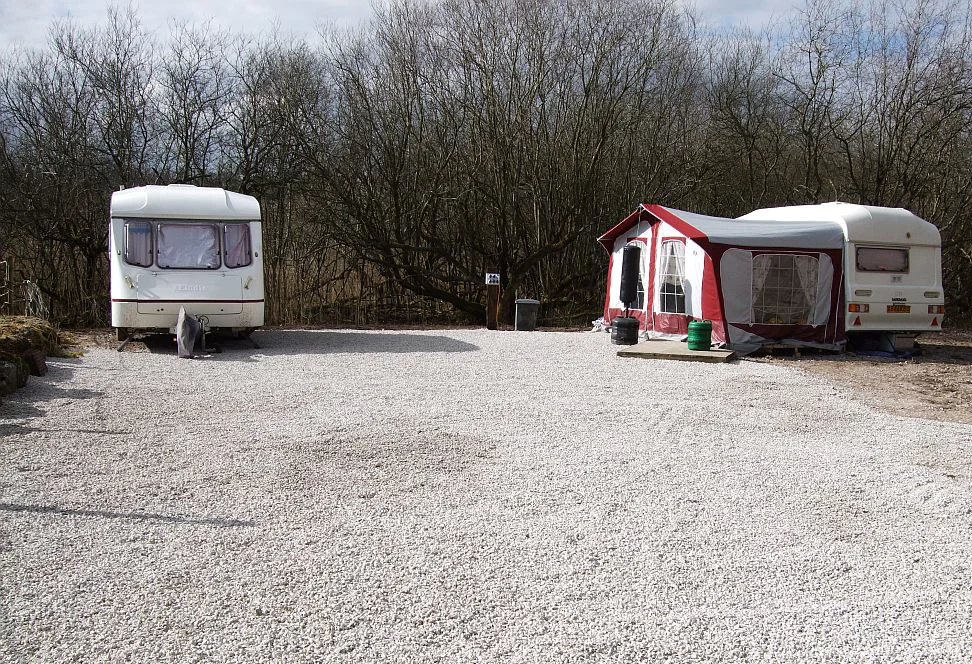 The site