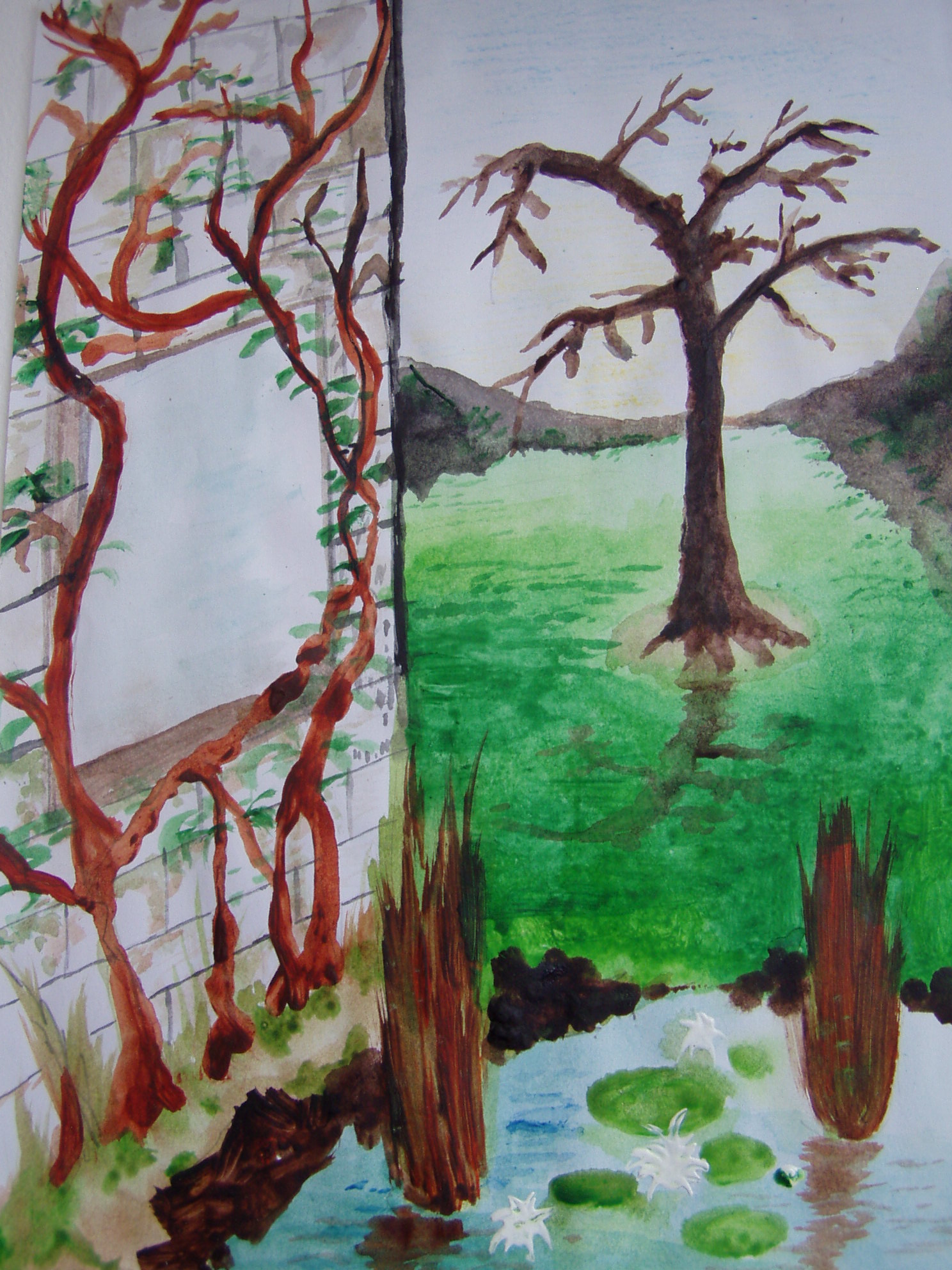 The Mysterious Garden