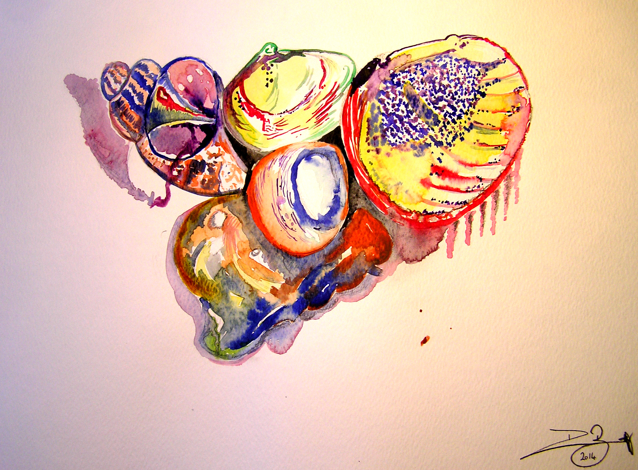Seashells
