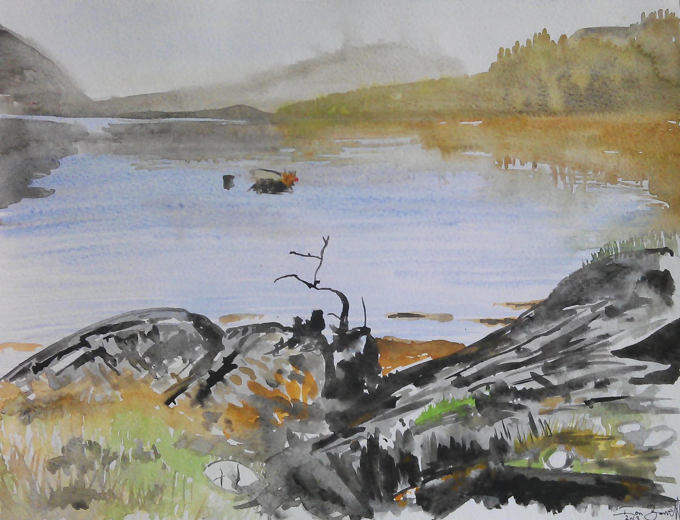 Loch Linnhe - Scotland   - NEW