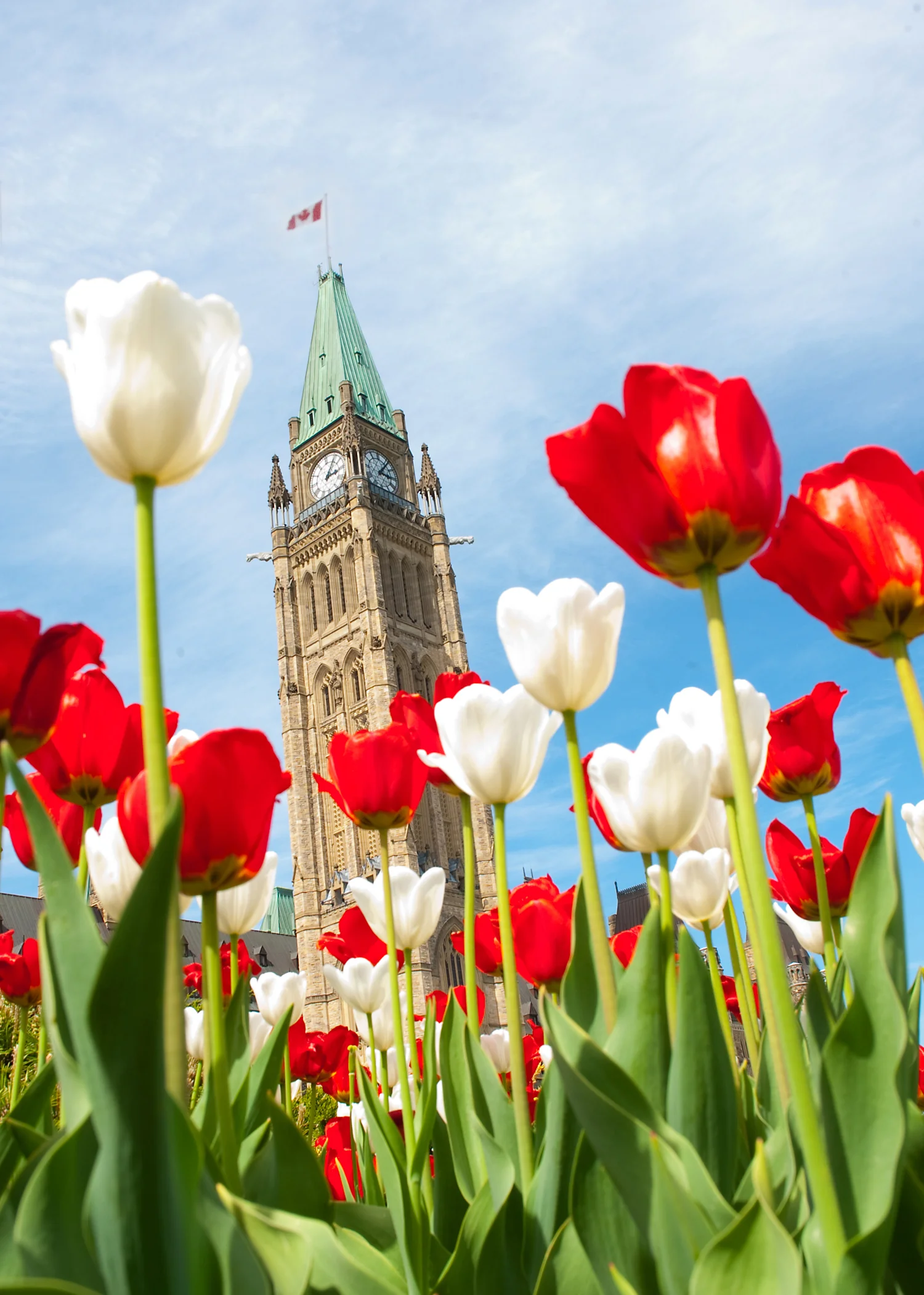 Update_09 16 10_043_edit.jpg