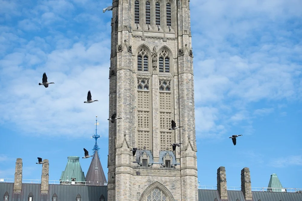 CIU_09 25 22_CPOMA_101.jpg