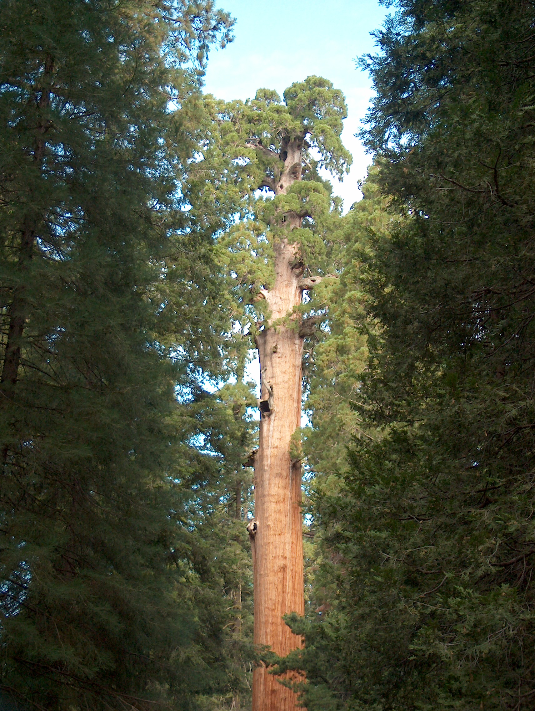 HPIM4904.JPG