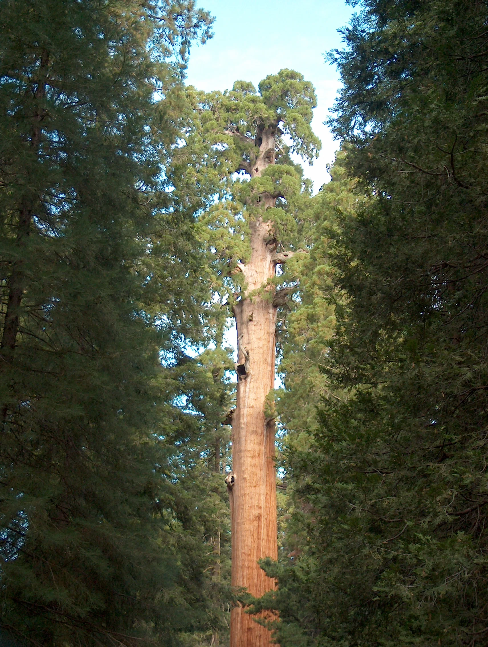 HPIM4904.JPG