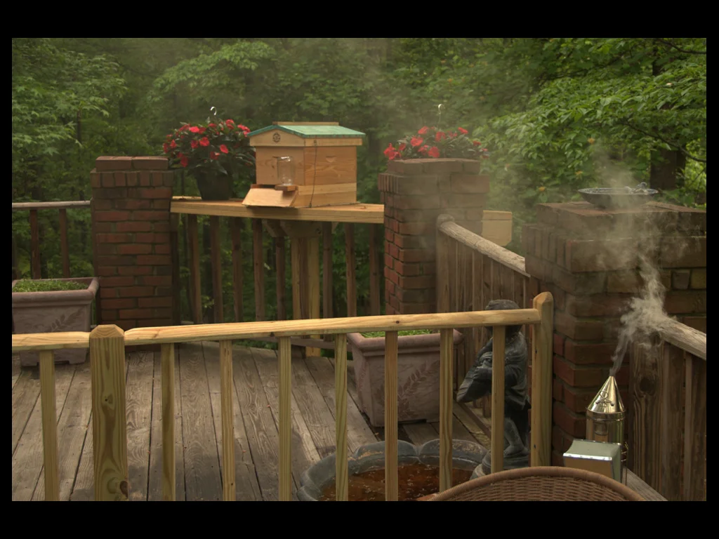 bees ... smoke.jpg
