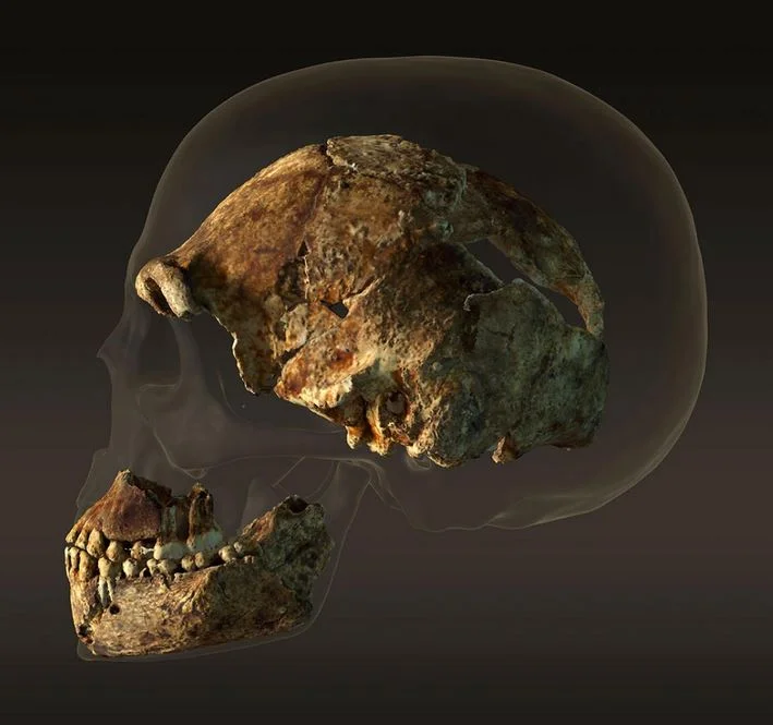 naledi.JPG