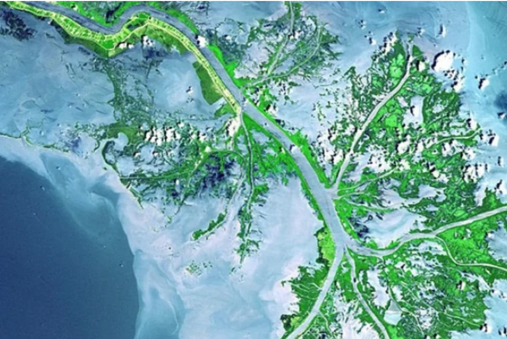 active delta front  -  Mississippi R..jpg