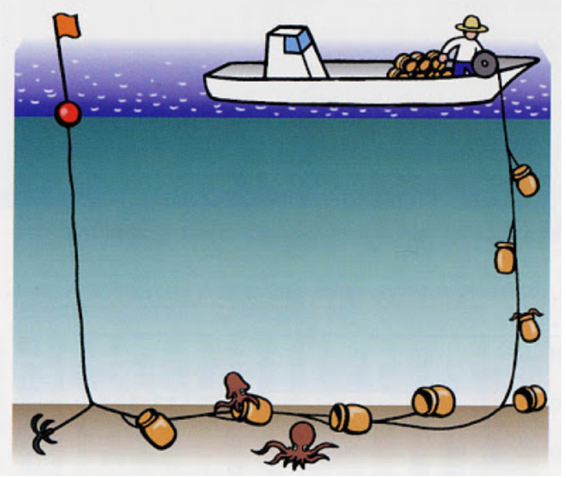 Screen Shot 2017-07-15 at 6.10.13 AM.png