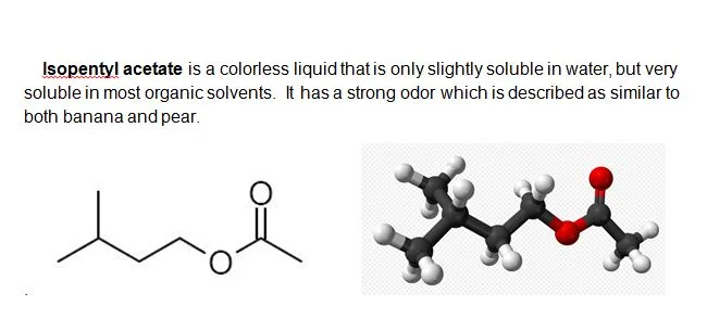 isopentyl acetate info.JPG