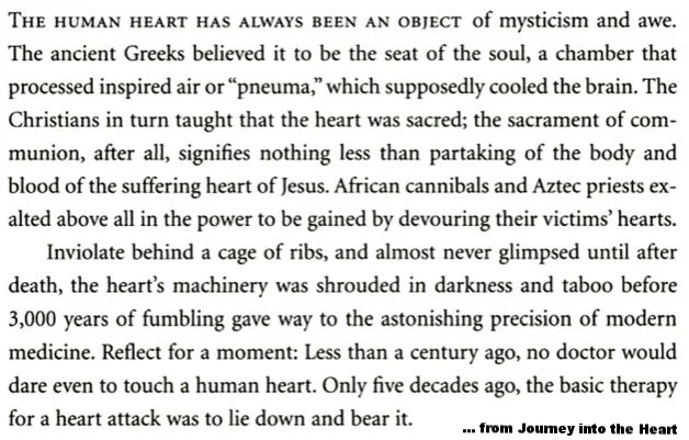 Excerpt from Introduction to Journey into the Heart..PNG