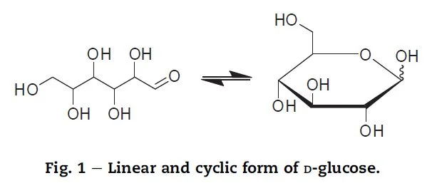 glucose -  linear and cyclic models.JPG