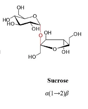 sucrose.JPG